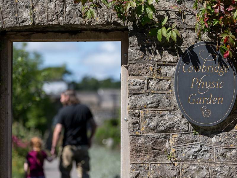 Physic Garden Cowbridge